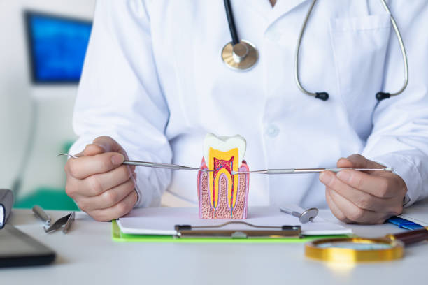 Best Dentist for Dental Trauma  in Crafton, PA